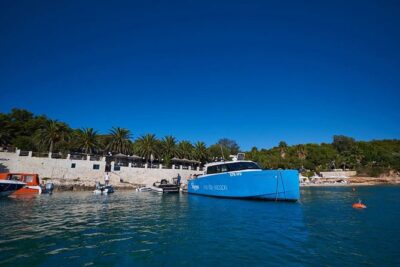 3-Island Split Boat Tour (Šolta Drvenik Mali, Drvenik Veli) - Šolta’s Nečujam stop: sunken-ship snorkeling and easy water time