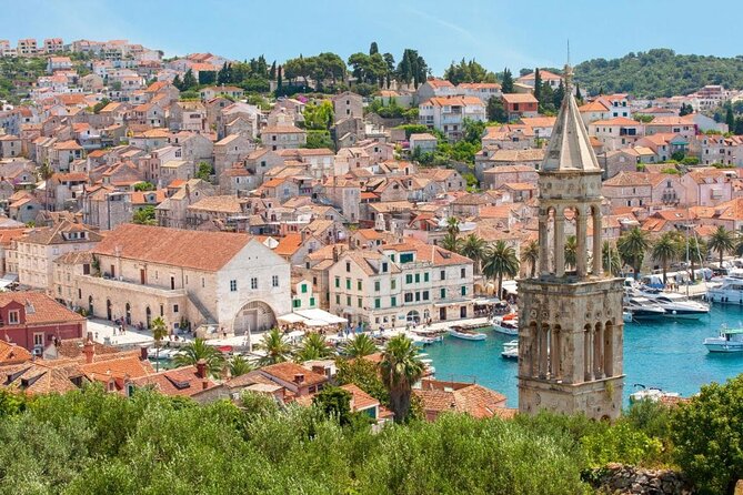 4 Islands Tour from Split to Zlatni Rat, Hvar & Pakleni Islands - Stop 3: Pakleni Islands for beach-hopping and snorkel time