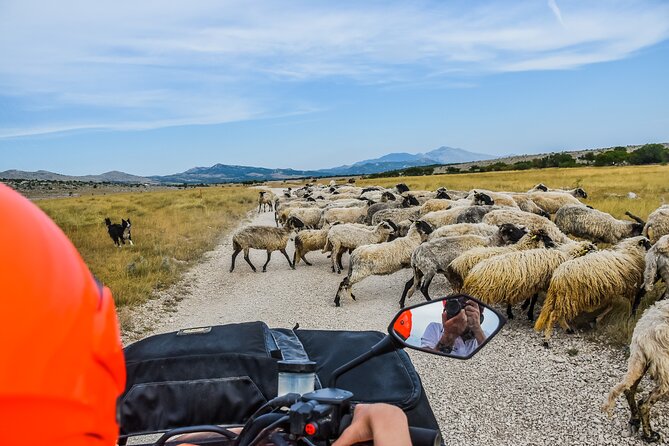 ATV Dinara Mountain tour with picnic - Stop 1: Dinara Mountain ride through nature and high viewpoints