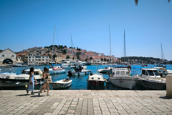 Blue cave and Hvar - 5 Islands speedboat tour from Split - Budikovac Island and the Blue Lagoon: snorkeling time that actually matters