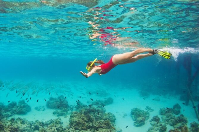 Blue Cave Full-Day Boat Tour with Hvar and 5 Islands - Price and value: what $155.68 covers (and what it doesn’t)
