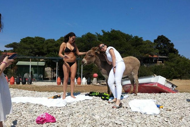 Blue Cave, Hvar and Five islands - Small-Group Tour From Split - Booking Smarter: How to Avoid the Most Common Frustrations