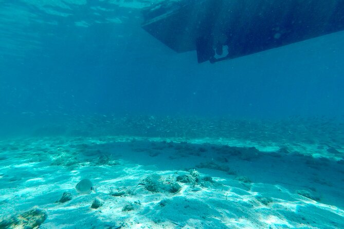 Blue Lagoon & 3 Islands Private Boat Tour - Logistics and how to avoid common day-of annoyances