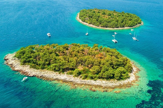 Blue Lagoon & Wine tasting - 3 islands tour - Milna on Brač: wine tasting that doesn’t feel like a lecture