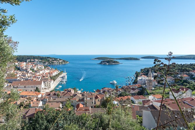 Boat Private Day Tour to Hvar and Pakleni Islands from Split - Private boat to Hvar and Pakleni: where the value really comes from