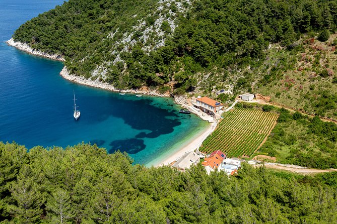 Brac, Hvar, & Solta Day Trip: Snorkeling, Wine & Lunch from Split - Speedboat logistics: fast, comfy, and built for a real day