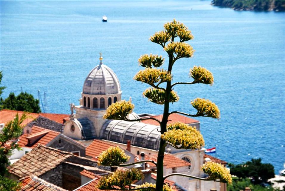 Dalmatian Delights: Food & Wine Tour from Split or Trogir - Logistics to consider: timing, group size, and alcohol rules