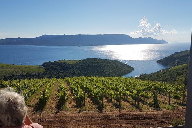 Day Trip to Dubrovnik From Split - What’s Included vs Not Included: The Decisions That Affect Your Enjoyment