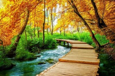 Day Trip to Plitvice lakes From Split - Price and Value: What $404.21 Covers (and What Might Cost Extra)