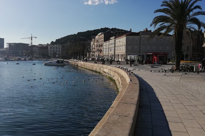 Diocletian's Palace Small Group Tour in Split - Stop 2: The Peristyle—Roman square, temple meaning, and great acoustics