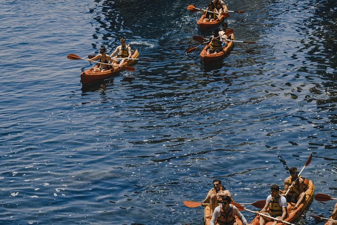 Dubrovnik tour from Split - Guides and Drivers: Names You Might Hear, and Why It Matters