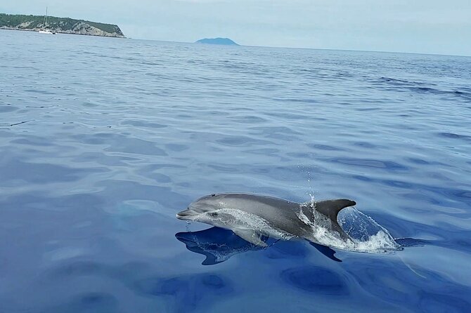 From Split: Half-Day Blue Lagoon and 3 Islands Boat Tour - Weather Matters More Than You Think