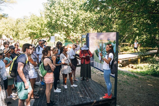 From Split: Krka Waterfalls, Food & Wine Tasting Tour - The Krka River boat cruise to Skradinski buk
