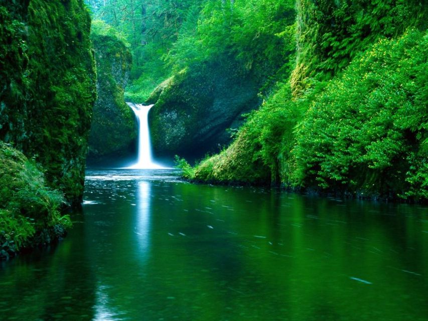 From Split or Trogir: Plitvice Lakes Private Tour - Free Time After the Highlights: Where You’ll Make the Day Yours
