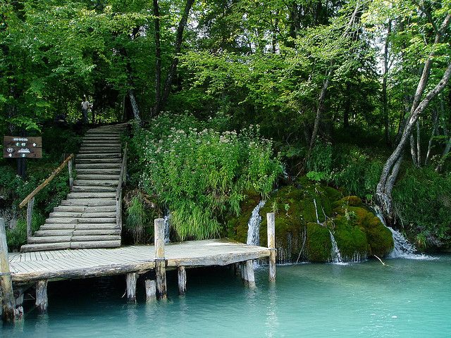 From Split or Trogir: Plitvice Lakes Private Tour - Prošćansko Lake and the Electric Train: Less Backtracking, More Looking