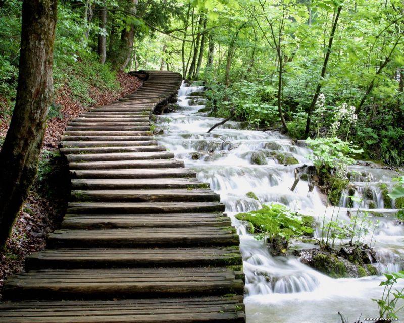 From Split or Trogir: Plitvice Lakes Private Tour - Price and Value: $559 Per Person for a Private, Door-to-Door Day
