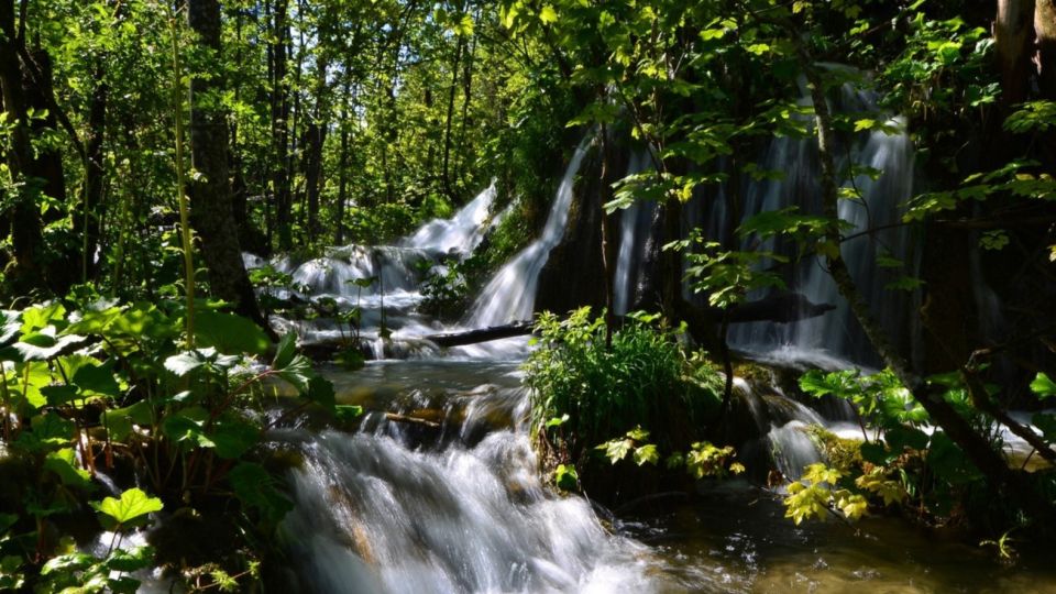 From Split or Trogir: Plitvice Lakes Trip with Entry Ticket - Plitvice Lakes in a day: what this trip actually gets you