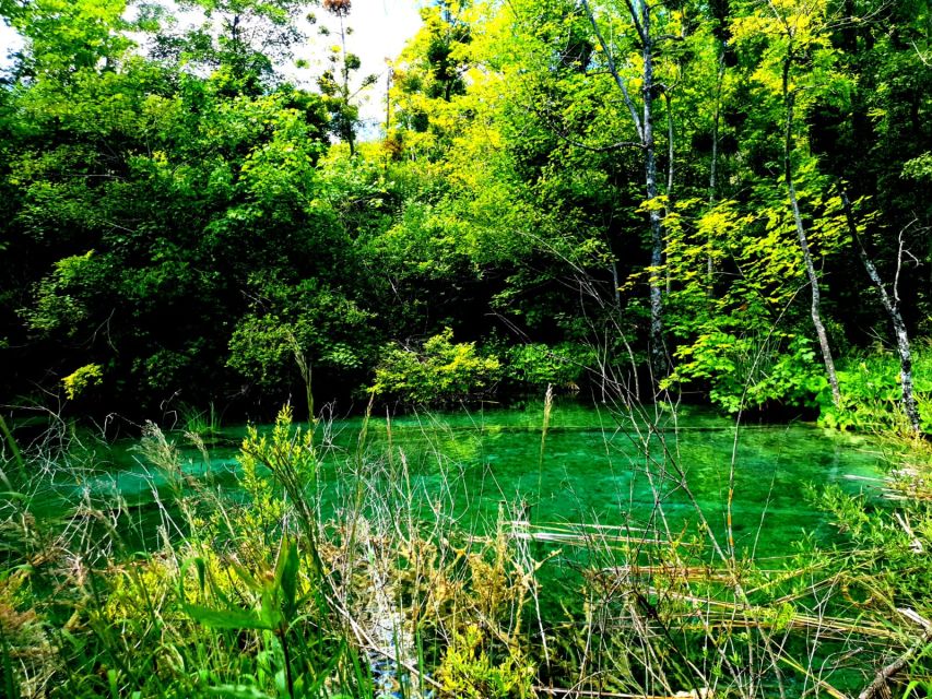 From Split: Plitvice Lakes Full-Day Trip - Inside Plitvice: how the lower-lake start changes the whole experience