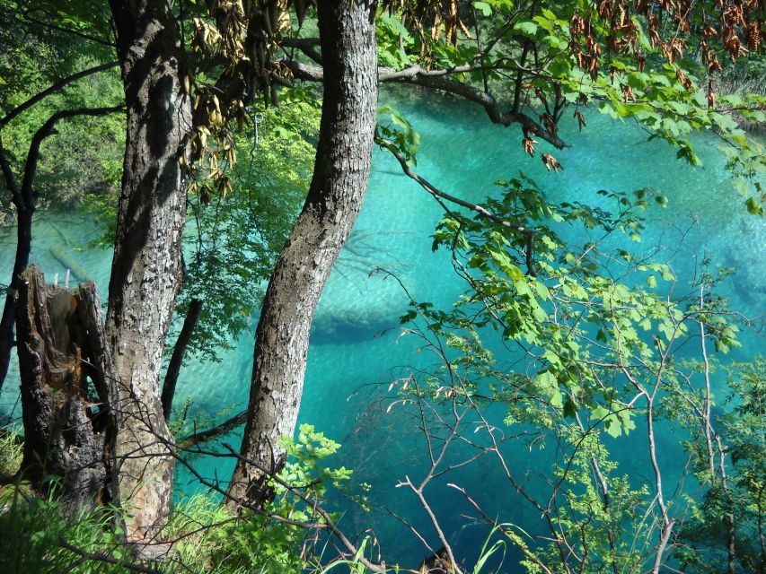 From Split: Plitvice Lakes Full-Day Trip - How transportation inside the park can affect your time