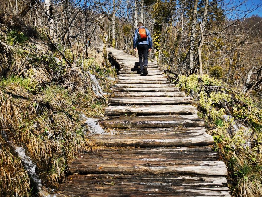 From Split: Plitvice Lakes Full-Day Trip - Entry ticket costs: the value question (and the cash part)