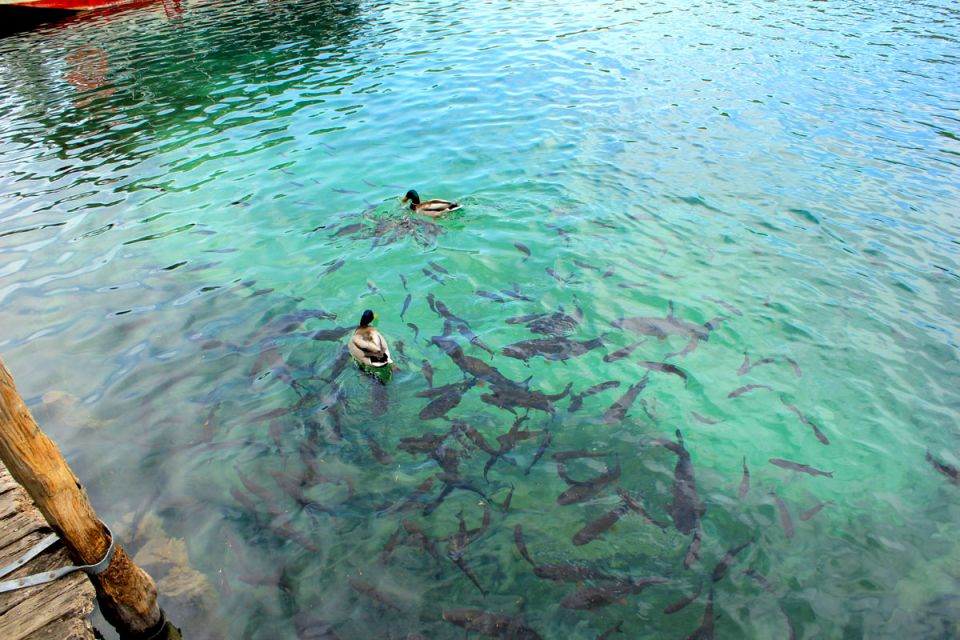 From Split: Plitvice Lakes Fully-Guided Day Tour - Meeting point on Split’s Riva and how the day stays organized