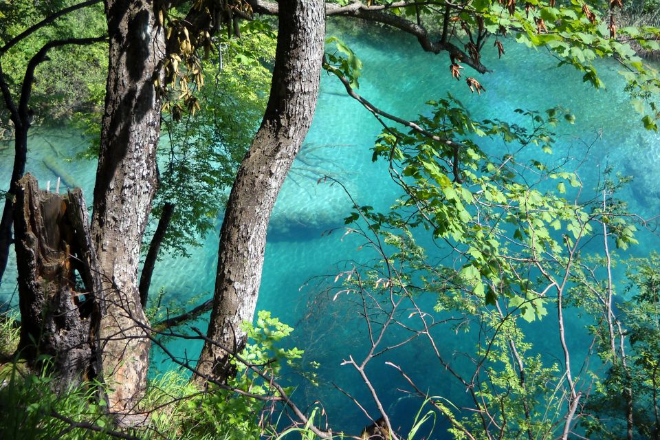From Split: Plitvice Lakes Fully-Guided Day Tour - Lower Lakes and the boat ride: limestone dams up close