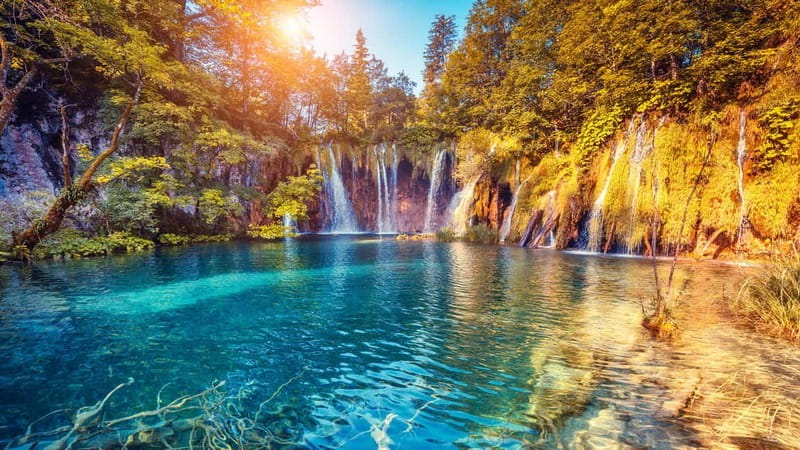 From Split: Plitvice Lakes Guided tour - How the 16 Lakes and Travertine Waterfalls Work (So You Enjoy It More)