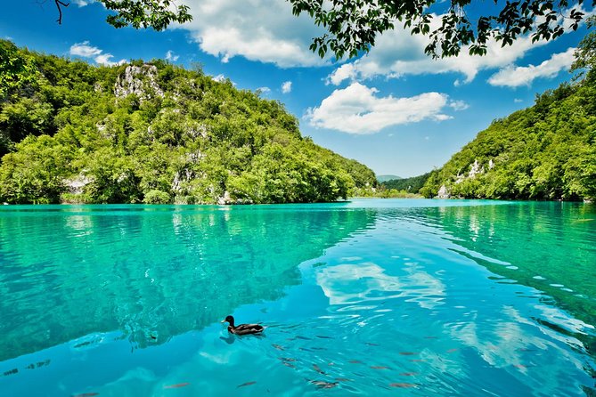 From Split: Plitvice Lakes National Park Guided Tour - The best way to plan your day inside Plitvice