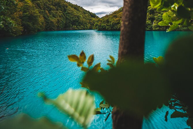 From Split: Plitvice Lakes - Private tour - Upper Lakes in 1 hour: where the route starts to feel like a story