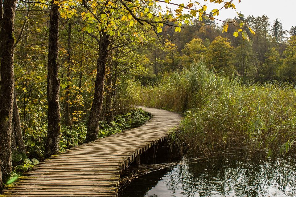 From Split: Private Tour to Plitvice Lakes National Park - Panoramic train: when you want the scenery without the steps