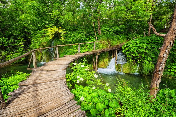 From Split to Zagreb: Plitvice Lakes Private Guided Tour - Price and value: what $390.52 really covers