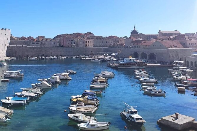From Split/Trogir Small group tour to Dubrovnik with stop in Ston - Free time in the Old Town: lunch, coffee, and the smart way to use your hours