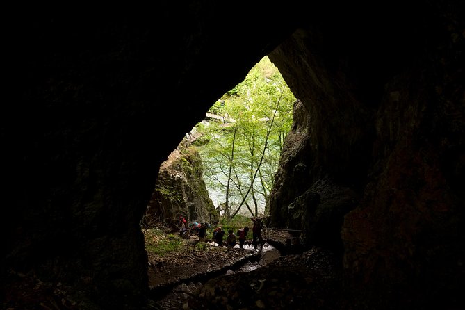 Full-Day Private Plitvice Lakes National Park Tour from Split - A Private Plitvice Day From Split (No Transit Headaches)