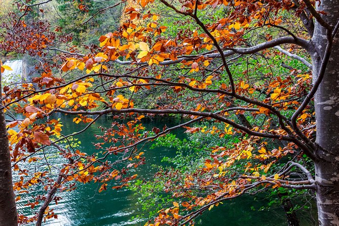 Full-Day Private Plitvice Lakes National Park Tour from Split - Plitvice Lakes National Park: 4 hours, and real walking in between views