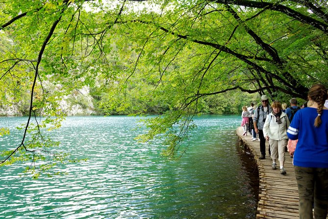 Full-Day Private Plitvice Lakes National Park Tour from Split - Transport comfort on a long drive: what to watch for