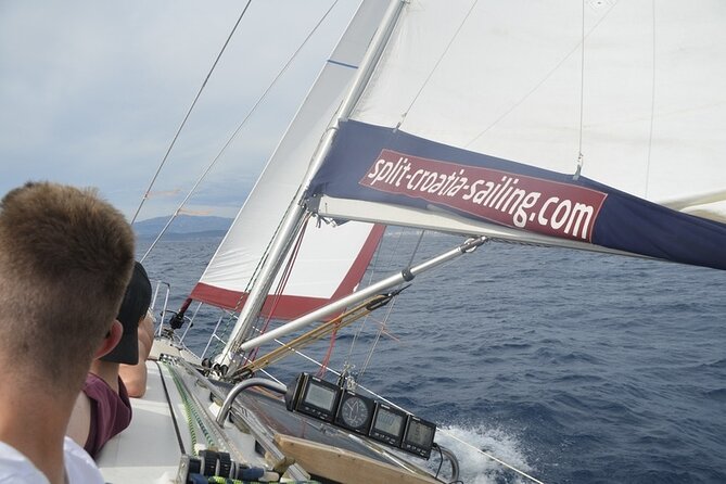 Full-Day Small-Group Dalmatian Coast Sailing Cruise from Split - Wildlife moments you can catch when you’re not rushing