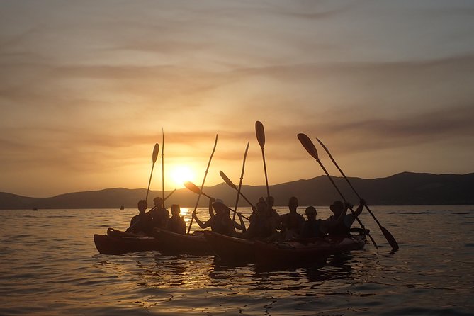 Half-Day Split Sea Kayak Adventure - Cliff Jumping Break: Optional, Chosen by You, Run with Safety in Mind