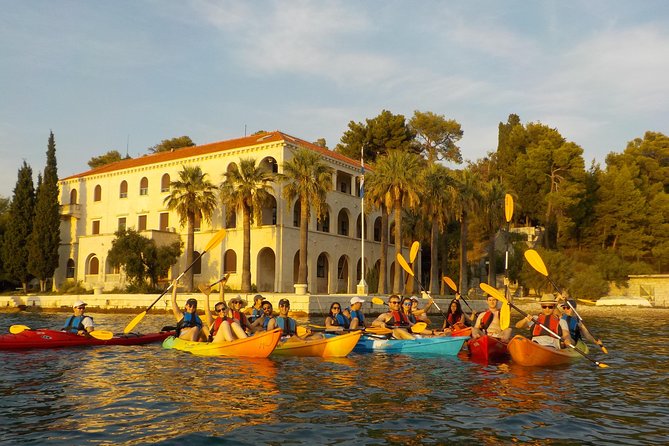 Half-Day Split Sea Kayak Adventure - Price and Value: What $59.95 Covers (and Why It’s Fair)