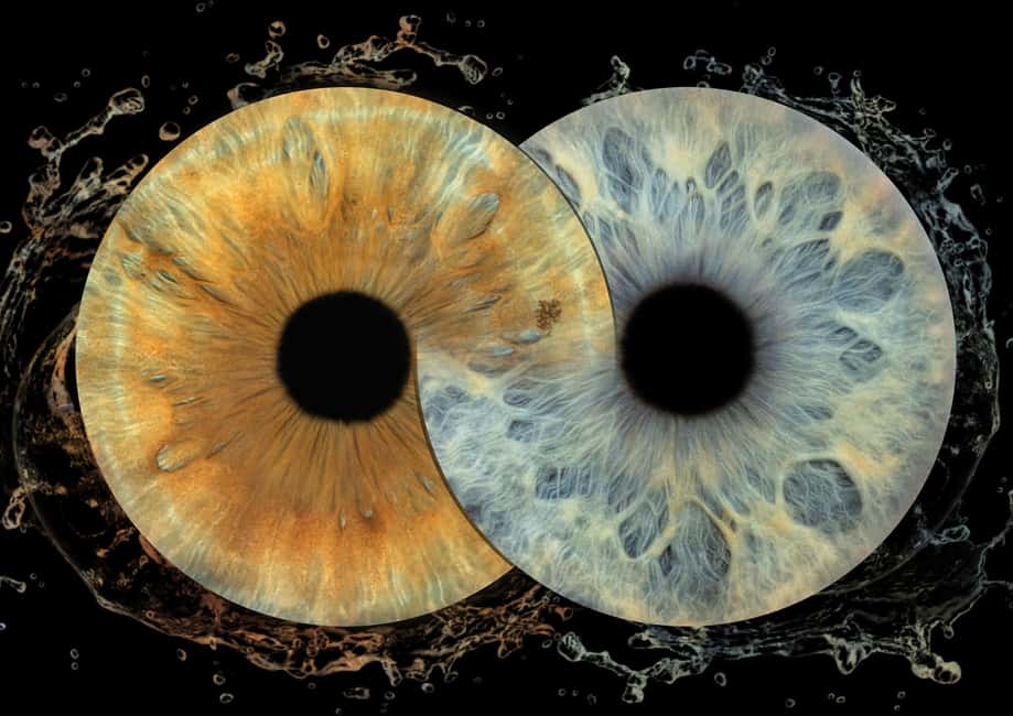 IRIS Photography (macro photo of your eye) - Key highlights at a glance