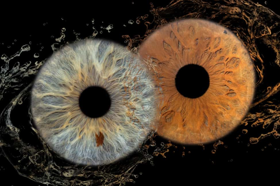 IRIS Photography (macro photo of your eye) - Why iris macro photography in Split feels personal