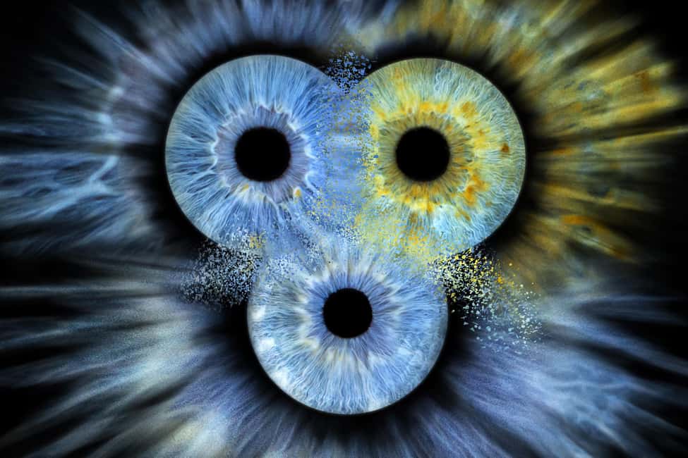 IRIS Photography (macro photo of your eye) - The 10-minute session: what happens when the camera gets close