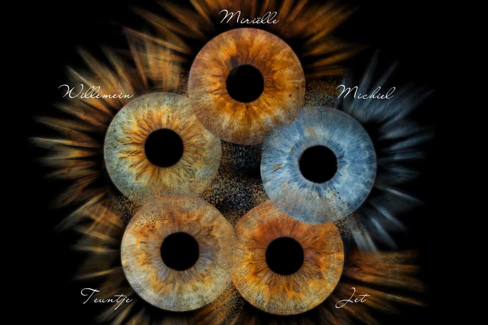 IRIS Photography (macro photo of your eye) - Finding Split Photo Agency by Riva in 2 minutes
