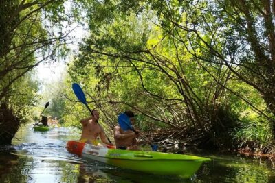 Kayak Adventure in Split - Step-By-Step Flow on the Water: Training, Estuary Calm, River Shade