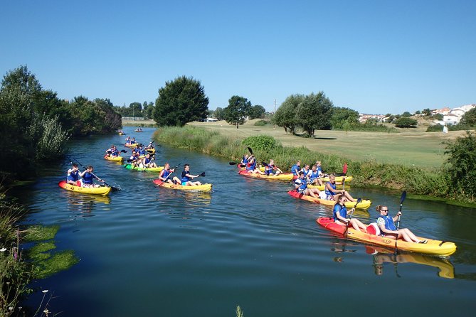 Kayaking in the Adriatic Sea with Snorkeling from Podstrana - Key Things You’ll Notice on This Kayak and Snorkel Trip