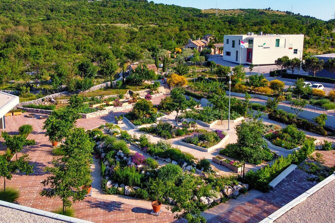 Klis Fortress - Game of Thrones Private Tour From Split - Olive tastings and the Concept store: why this part matters