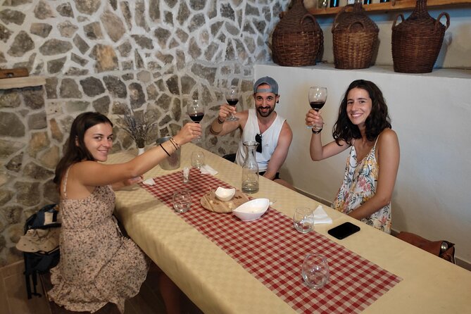 Krka National Park Tour with tour Guide & Wine tasting from Split & Trogir - The Krka river cruise: why the water-level views matter
