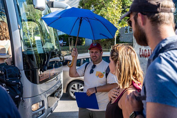 Krka Waterfalls Tour with Wine and Olive Oil Tasting - Price and value: what $29.96 covers (and what you pay at the gate)