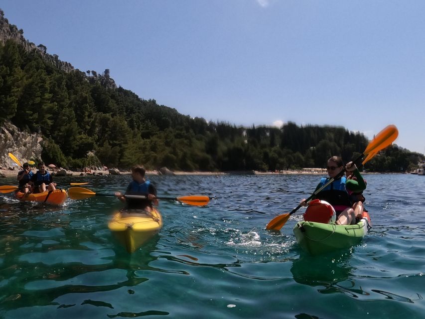 Morning Split Sea Kayaking Tour - Price and value: why $58 feels fair for what you get