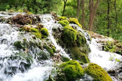 NP Krka waterfalls & Wine tasting - Private day tour from Split - Skradinski buk Waterfall: Your 1-Hour Window for Views and Quiet