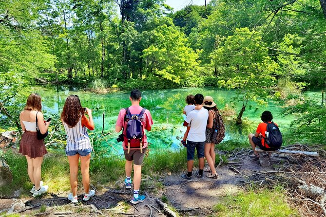 Plitvice Lakes Guided tour with Entrance ticket included - The heart of the day: Plitvice Lakes route (4 hours in the park)